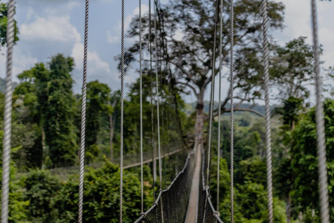 Kakum National Park, Ghana - homeland to many endangered mammals, the only canopy walkway on the African continent 2000pc Puzzle