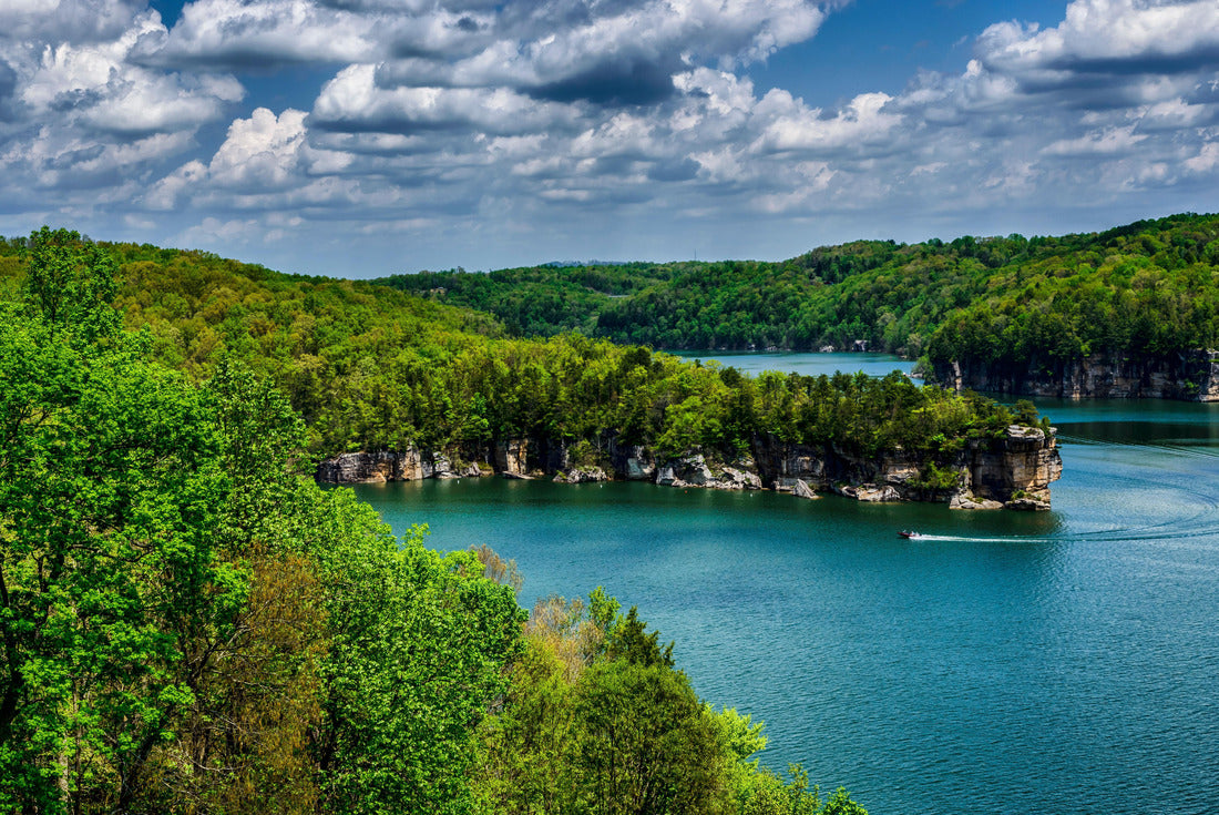 Noah Jigsaw Puzzle Long Point on Summersville Lake, Nicholas County, West Virginia, USA 2000 pieces