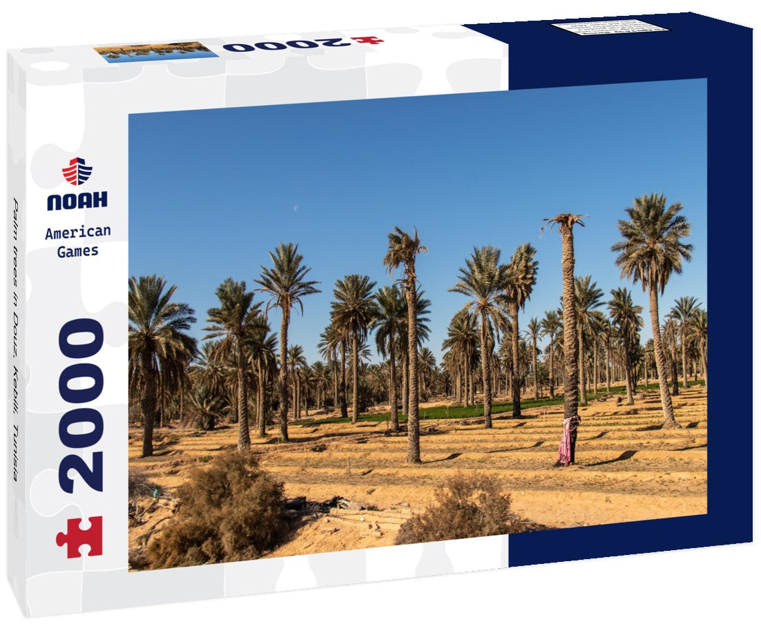 Palm trees in Douz, Kebili, Tunisia 2000pc Puzzle