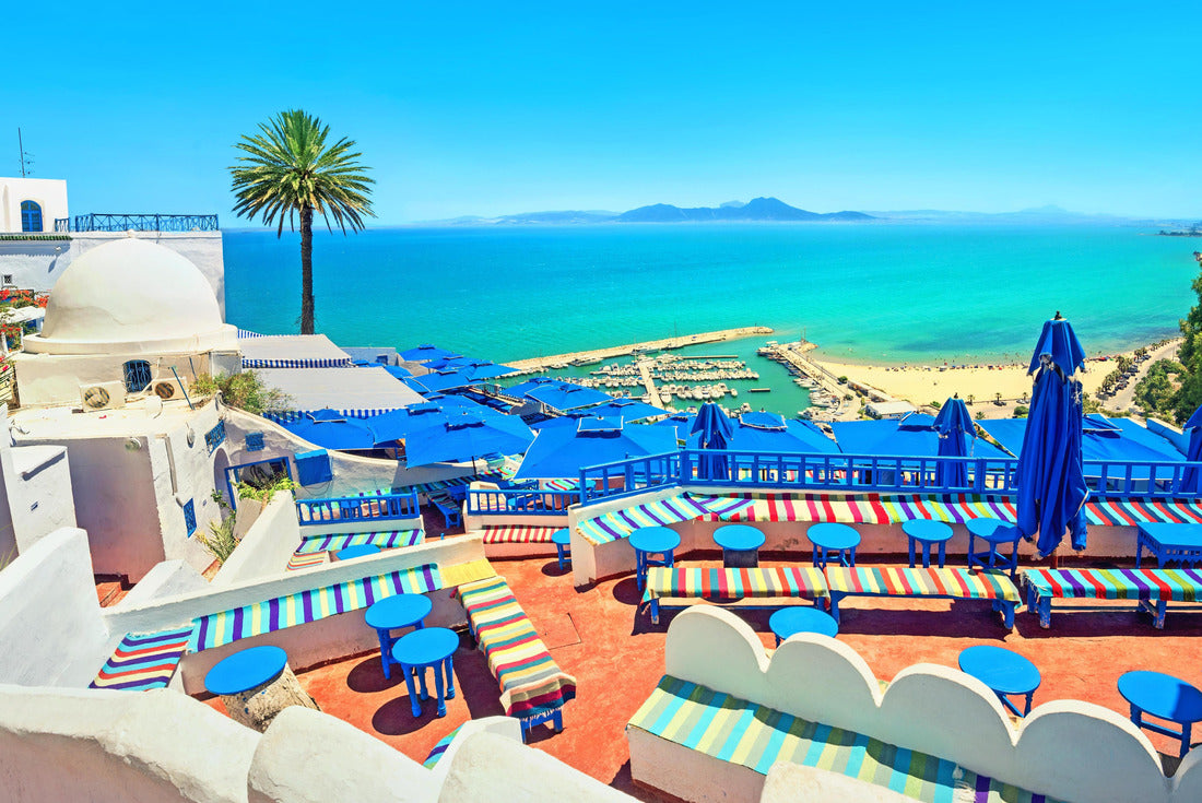 Noah Jigsaw Puzzle Panoramic view of the picturesque café and the coast with beach in Sidi Bou Said (blue and white city). Tunisia 2000 pieces