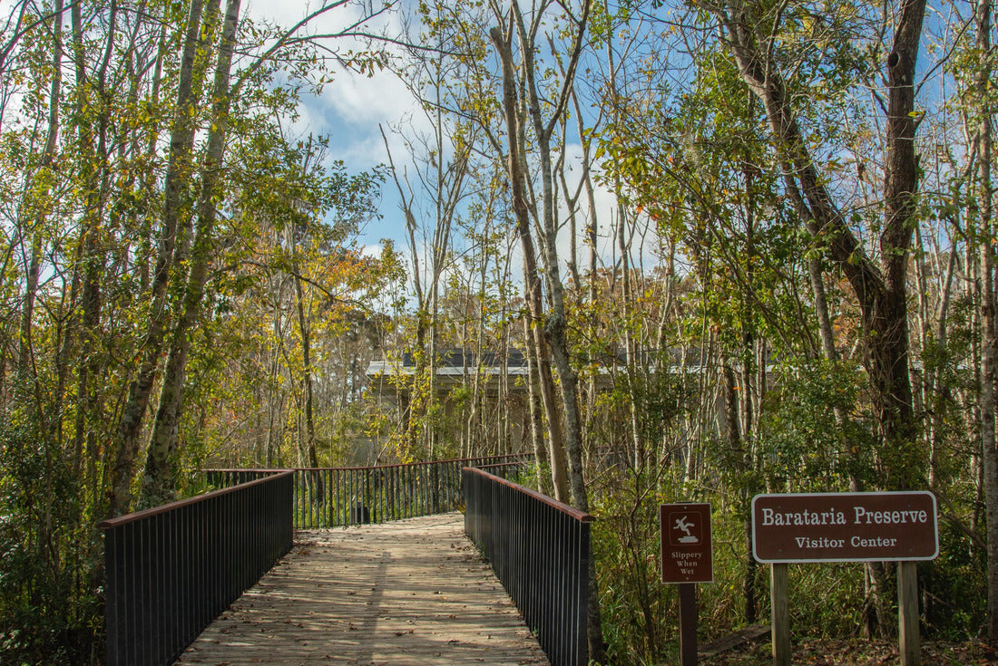 Boardwalk through the wild Louisiana swamp and marsh at Barataria Preserve outside Marrero near New Orleans, USA 2000pc Puzzle
