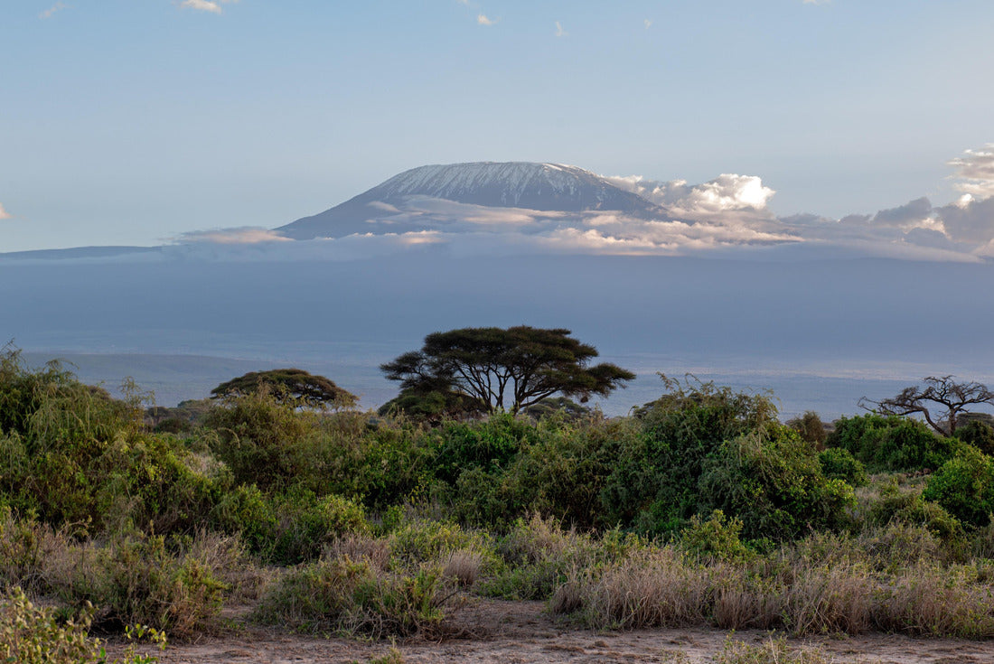 Evening atmosphere at Kilimanjaro in Kenya 2000pc Puzzle