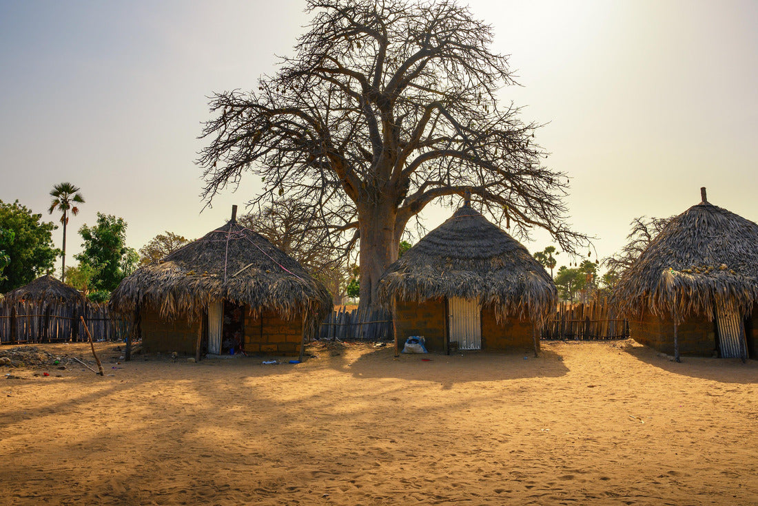 Noah Jigsaw Puzzle Traditional village houses with a baobab tree in the background in Senegal, Africa. The baobab tree is revered in Senegal, where it is the nation's symbol 2000 pieces