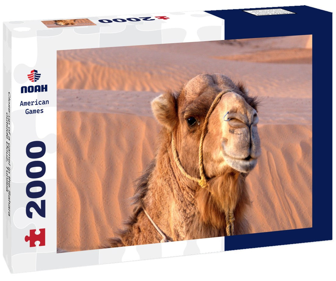 Close-up of a camel in the Sahara, outside Douz, Tunisia 2000pc Puzzle