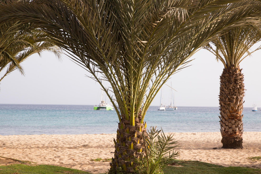 Beach in Sal island, Santa Maria, Cape Verde 2000pc Puzzle