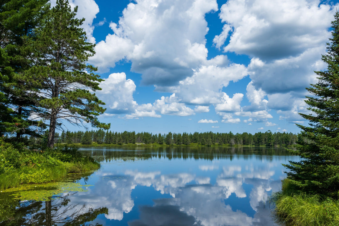 Seney National Wildlife Refuge on Michigan's Upper Peninsula 2000pc Puzzle