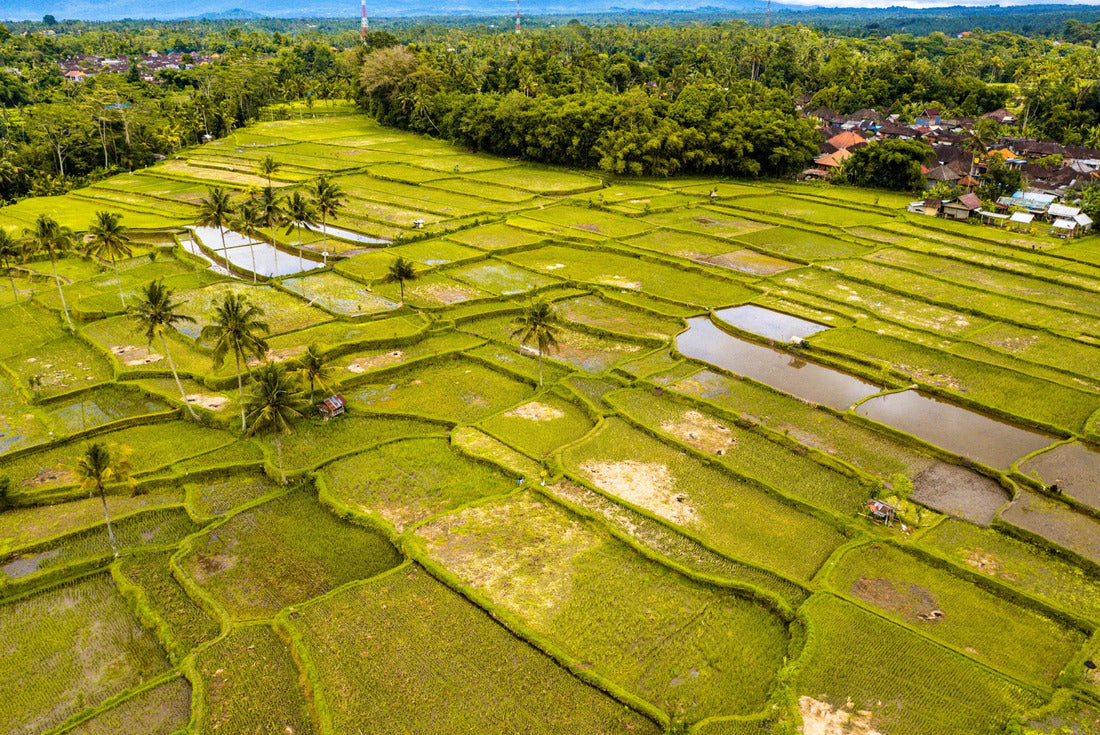 Desa Mancingan rice field in Gianyar Regency, Bali, Indonesia 2000pc Puzzle