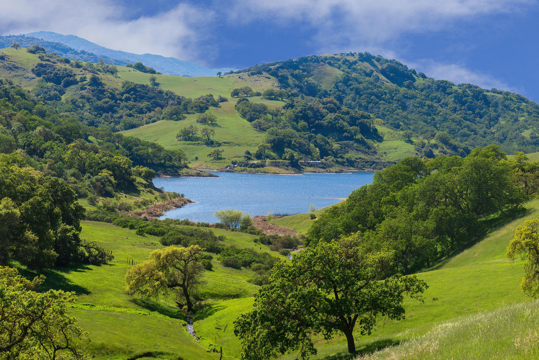 Calero Reservoir with soft green oak forest and grassland. Calero County Park, Santa Clara County, California, USA 2000pc Puzzle
