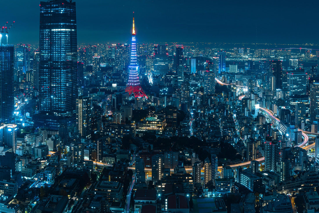 Beautiful architecture building cityscape and illuminated Tokyo Tower from the observation deck of Roppongi Hills at night in Tokyo, Japan 2000pc Puzzle