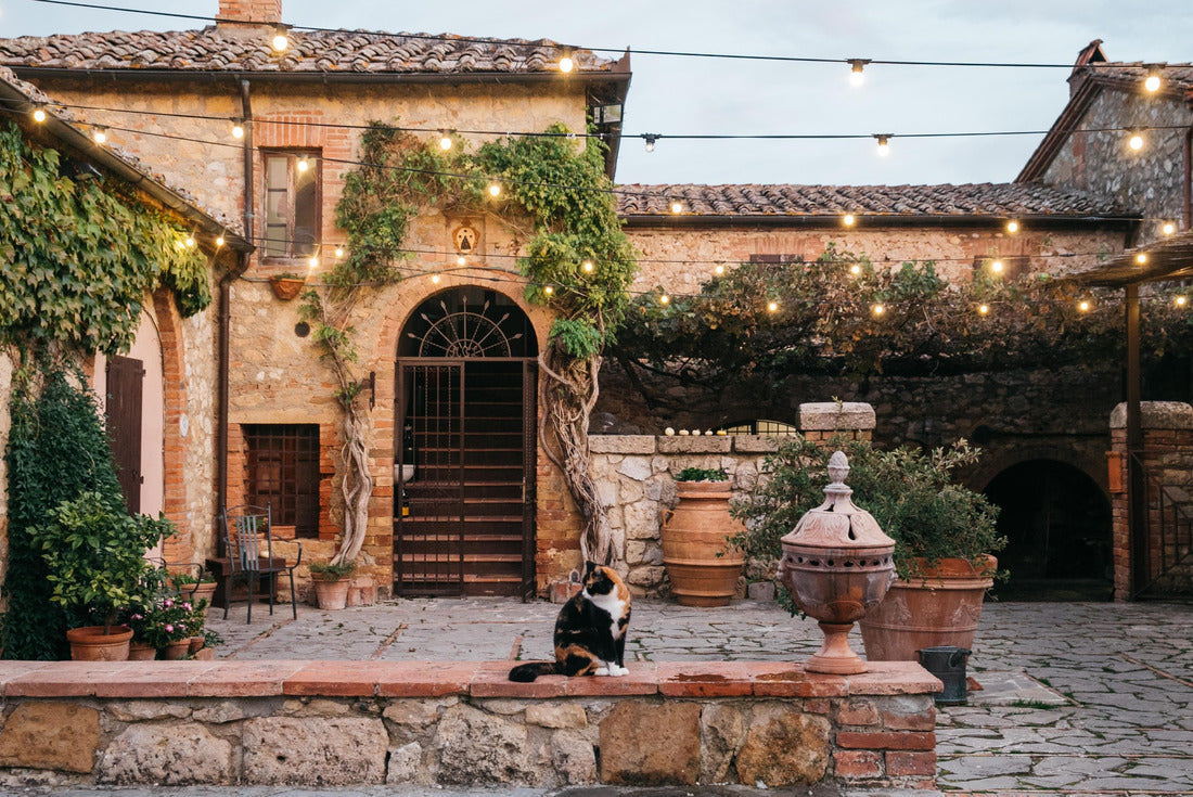 Building with vines in Tuscany, Italy with cat at sunset 2000pc Puzzle