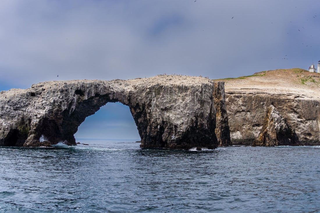 Noah Jigsaw Puzzle Anacapa Channel Islands National Park California coast with Arch rock and lighthouse and wildlife reserve and tourist attraction Ventura 2000 pieces