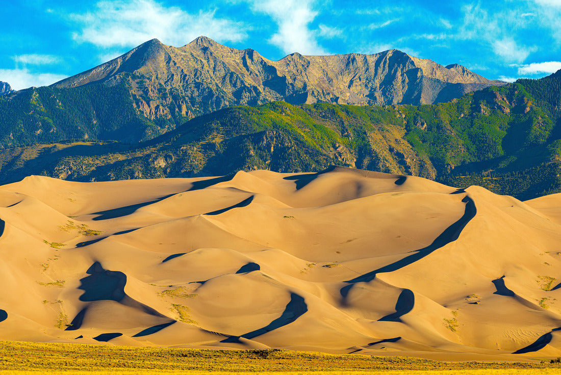 Noah Jigsaw Puzzle Panoramic photopgraph of Great Sand Dunes National Park in Colorado 2000 pieces
