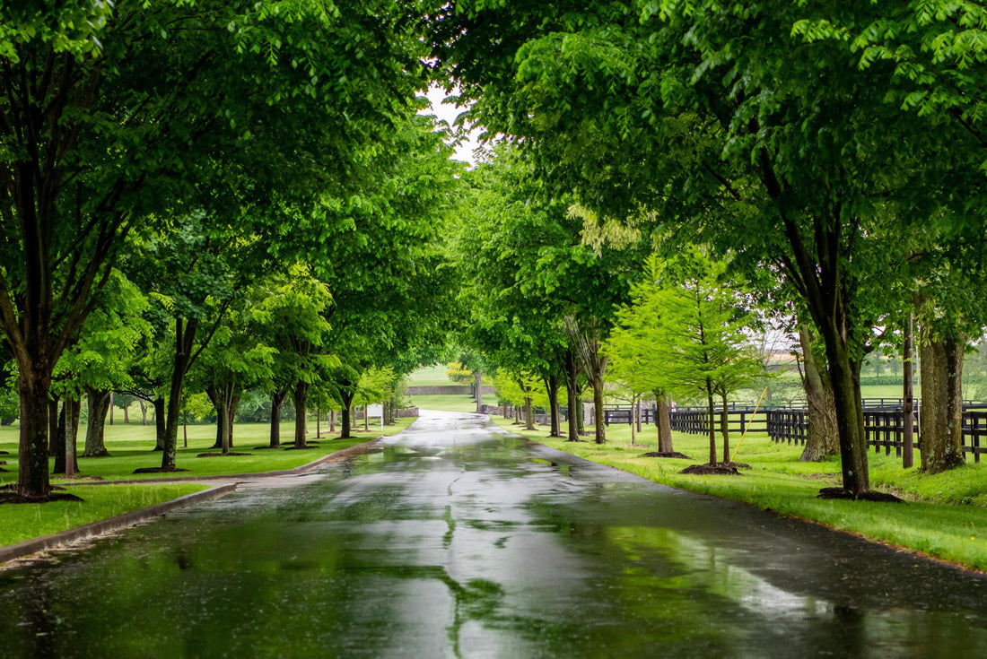 Rainy days on Kentucky backroads, lined with black fences 2000pc Puzzle