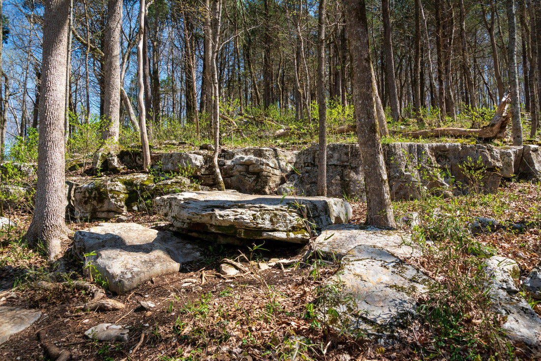 Noah Jigsaw Puzzle Mammoth Cave National Park in Kentucky 2000 pieces