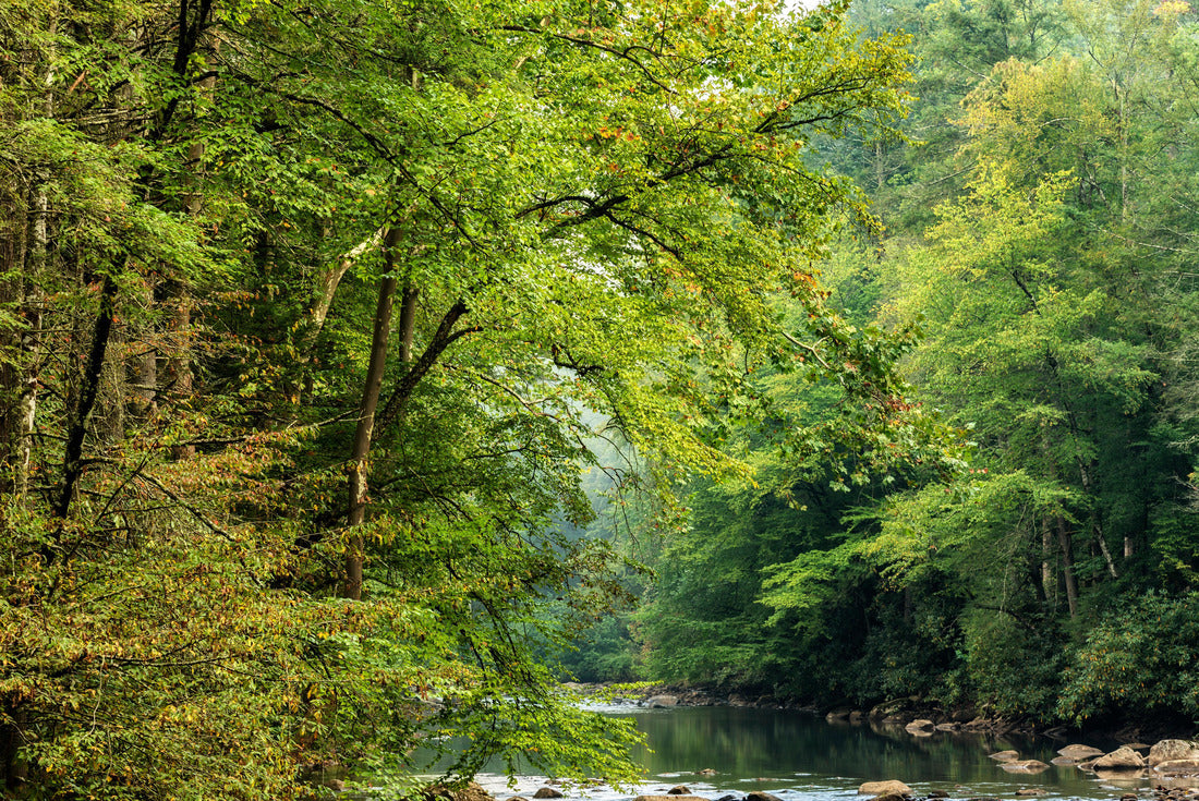 Autumn morning along the Back Fork of Elk River, Webster County, West Virginia, USA 2000pc Puzzle