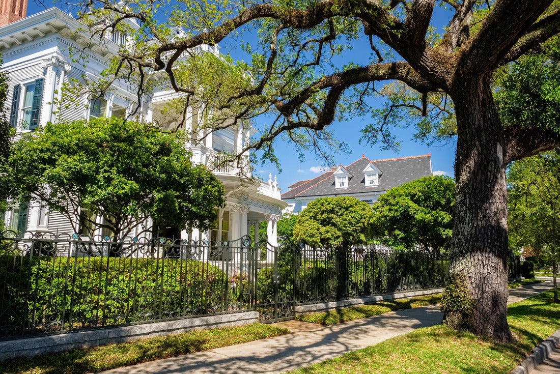 Beautiful vintage luxury homes along Saint Charles Avenue in New Orleans, Louisiana 2000pc Puzzle