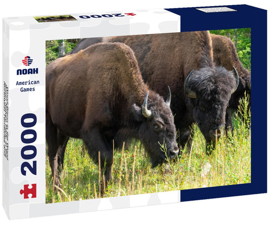 Noah Jigsaw Puzzle Wood-Bison in the Wood Bison Nature Park, in the Northwest Territories and Alberta, Canada 2000 pieces