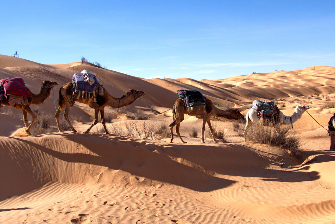 Bedouin camel driver leading a line of camels over sand dunes on a camel trek in the Sahara, outside Douz, Tunisia 2000pc Puzzle