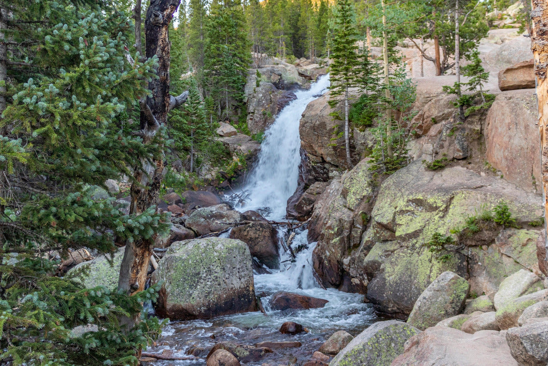 Noah Jigsaw Puzzle Alberta Falls Rocky Mountain National Park 2000 pieces