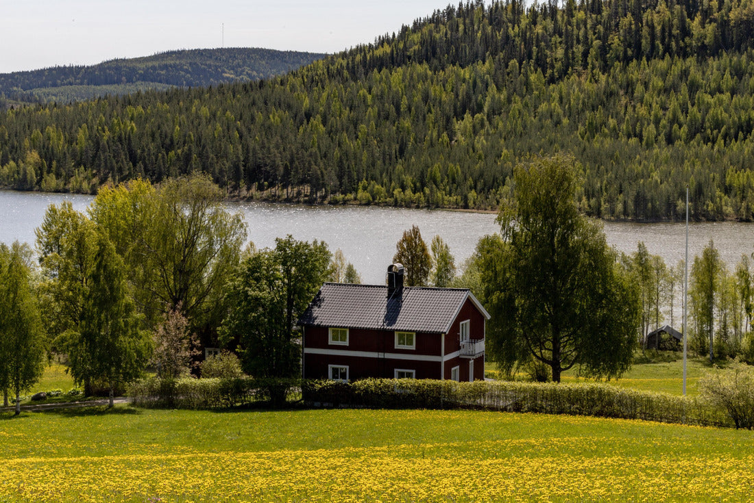Norsjö, Sweden A picturesque view of a lake, a barn, a mountain and a field of yellow dandelions in summer 2000pc Puzzle