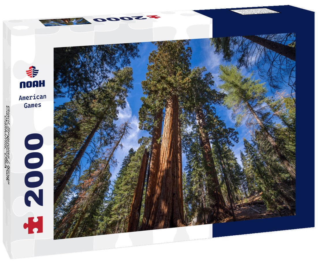Noah Jigsaw Puzzle Giant Sequoias | Kings Canyon National Park, California, USA 2000 pieces