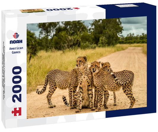 Noah Jigsaw Puzzle Endangered Cheetah family in Kruger National Park South Africa directly after a meal 2000 pieces
