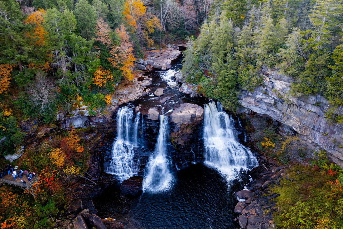 Blackwater Falls in a forest, Davis, West Virginia, United States 2000pc Puzzle