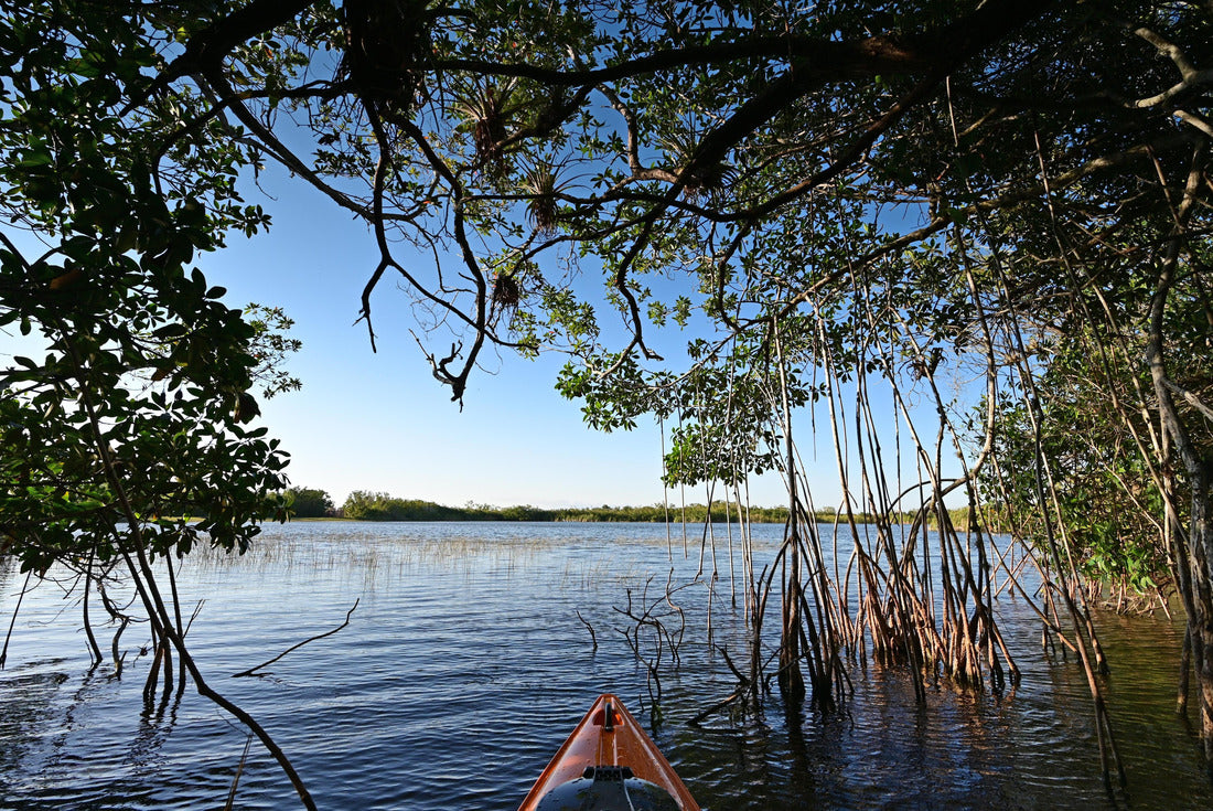 Orange kayak on Nine Mile Pond in Everglades National Park, Florida on sunny autumn afternoon amidst reeds and mangroves 2000pc Puzzle