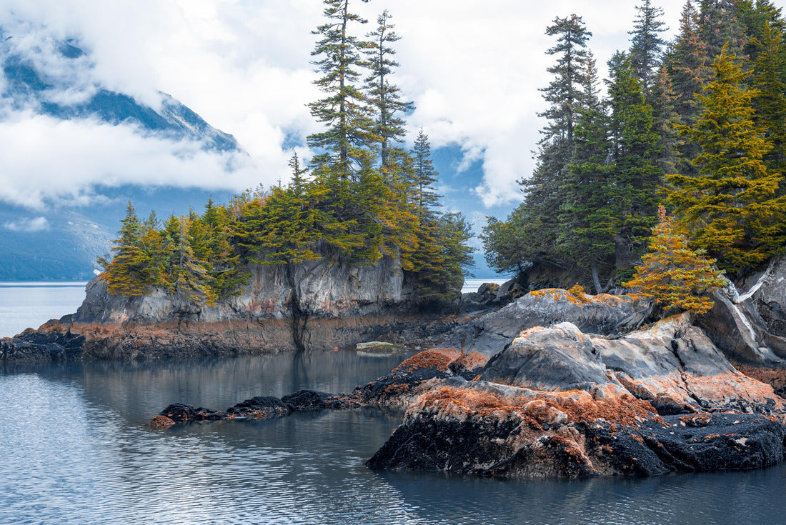 Noah Jigsaw Puzzle View of island from Kenai Fjords National Park Cruise tour in Alaska, USA 2000 pieces