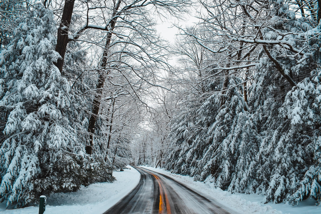 Icy road in Coopers Rock State Forest, West Virginia 2000pc Puzzle