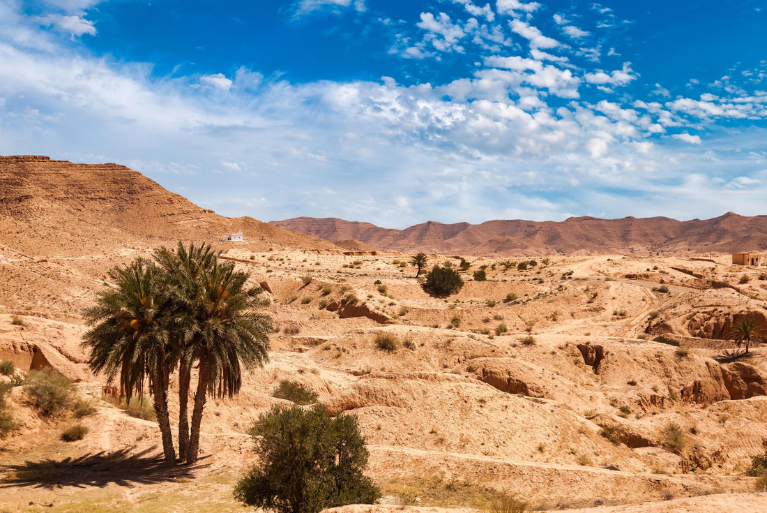 Landscape photography of the Sahara desert hills with sand dunes and palm trees, vegetation and blue sky. View of the expanse of sandy desert summer sunny day, Sahara, Tozeur, Tunisia 2000pc Puzzle