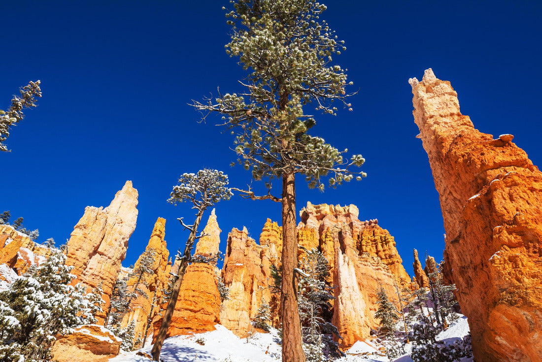 Picturesque colorful pink rocks of the Bryce Canyon National park in the winter season, Utah, USA 2000pc Puzzle
