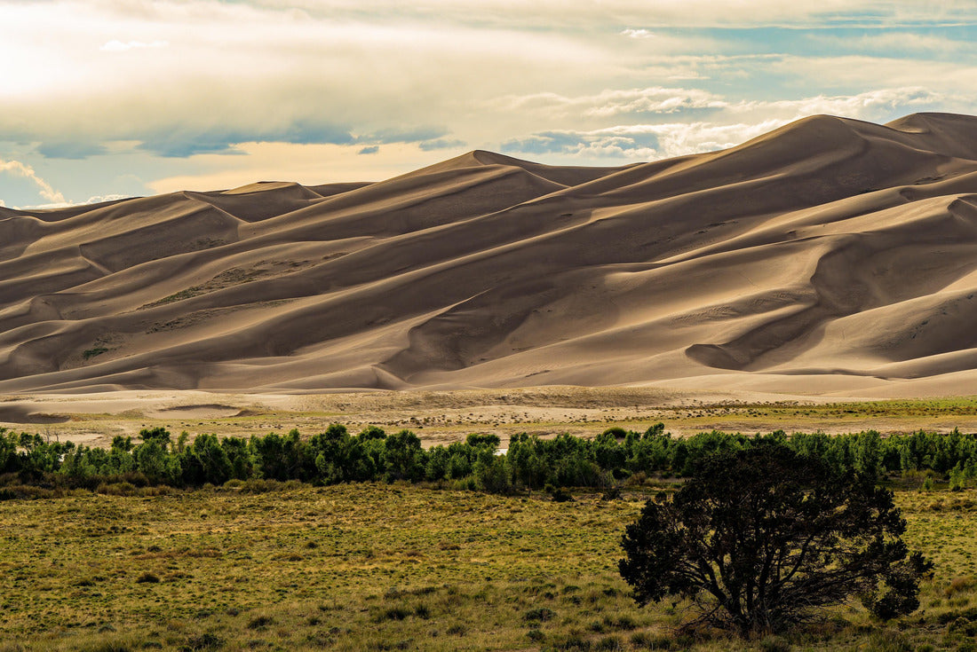 Sunny view of the landscape of Great Sand Dunes National Park and Preserve at Colorado 2000pc Puzzle