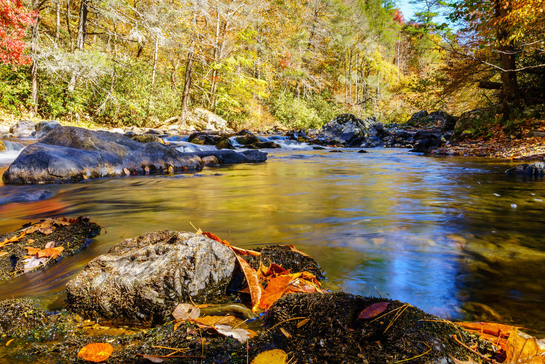 Scenic view of Big Laurel Creek in North Carolina in fall 2000pc Puzzle