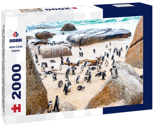 Noah Jigsaw Puzzle South African penguins colony of spectacular penguins water birds individual penguins and group in Simons Town Cape Town, Western Cape, South Africa  2000 pieces