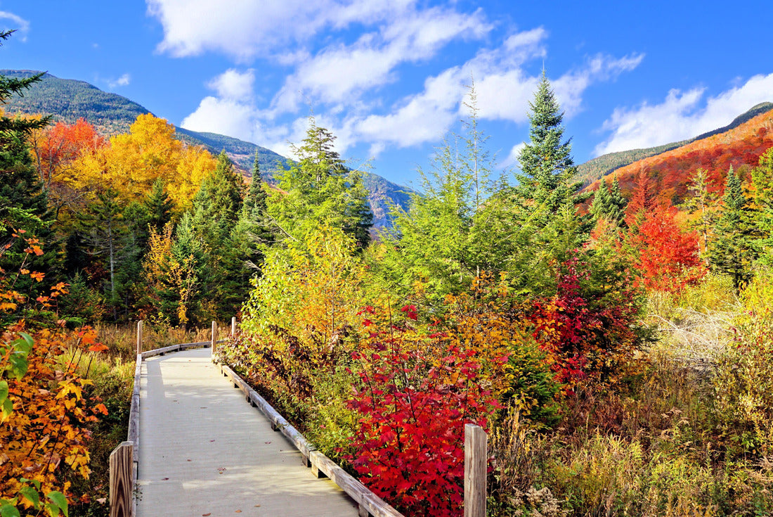 Beautiful autumn colors along a boardwalk trail in the countryside of Vermont, USA 2000pc Puzzle