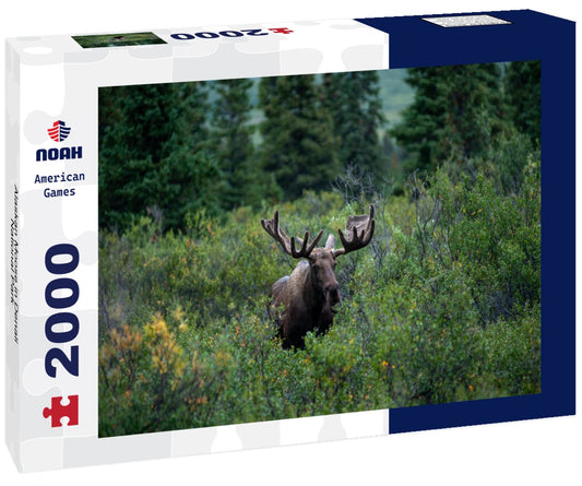 Noah Jigsaw Puzzle Alaskan Moose in Denali National Park 2000 pieces