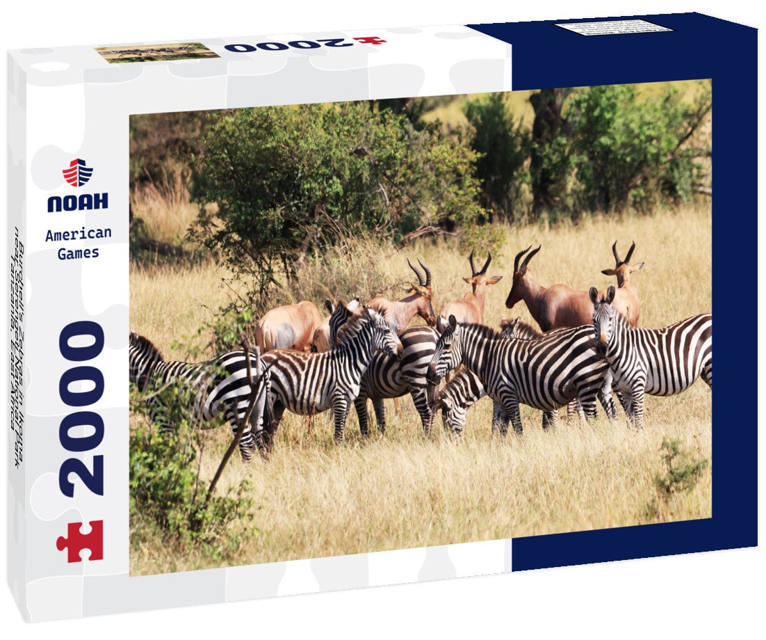 Noah Jigsaw Puzzle Burchell's Zebras in Ikoma, near Serengeti National Park, Tanzania, East Africa 2000 pieces