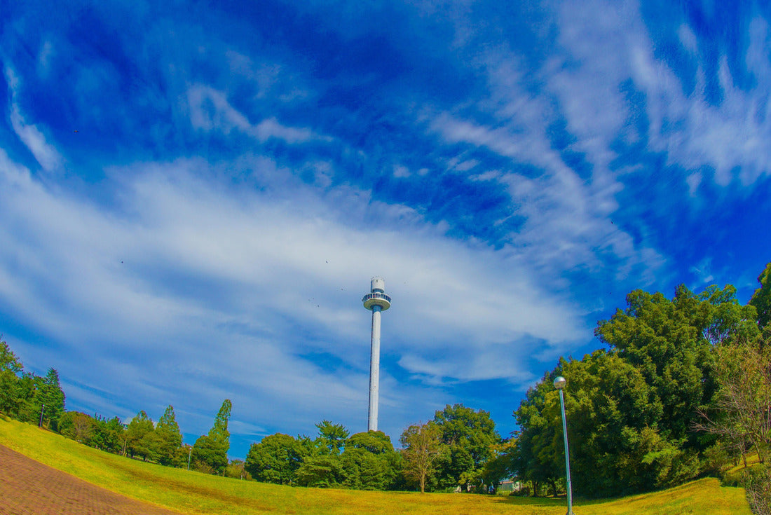 Noah Jigsaw Puzzle Seibuen Yuenchi Tower in Tokorozawa City, Saitama Prefecture 2000 pieces