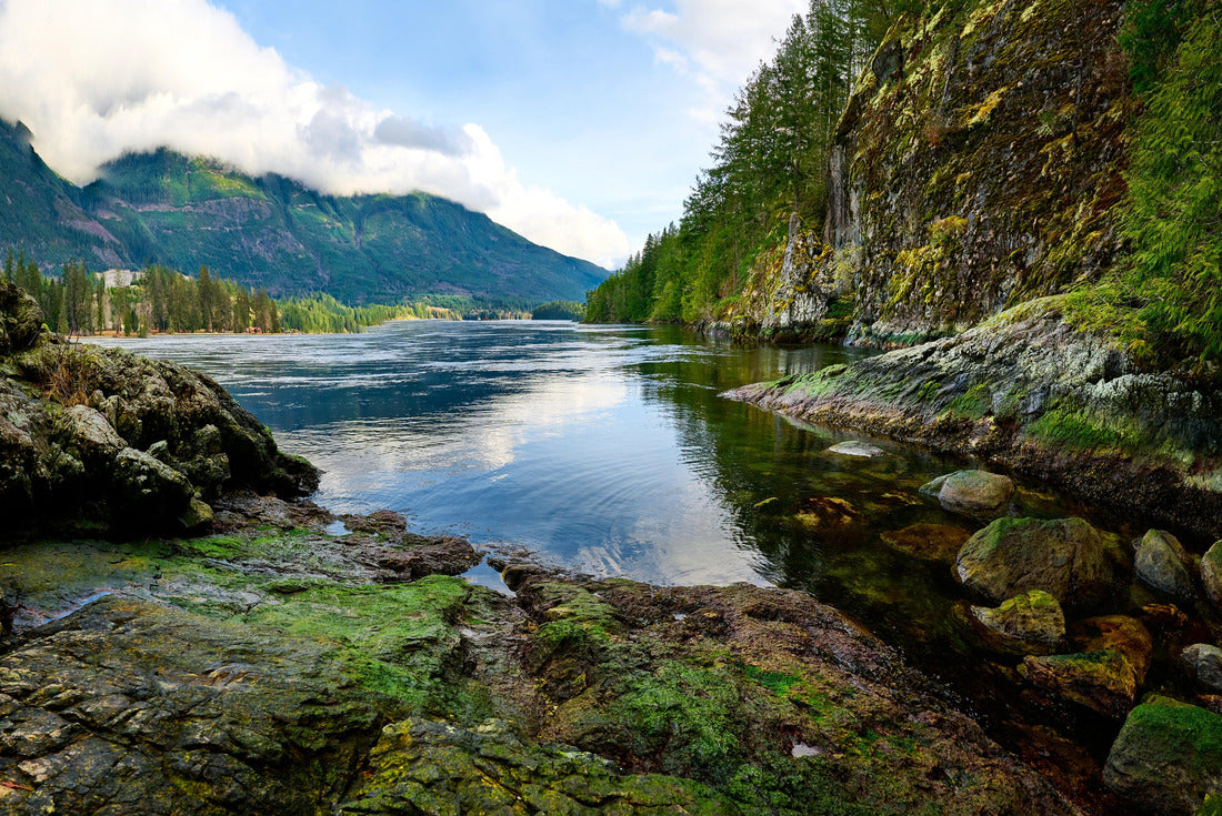 Rocky shores and coniferous forest. Skookumchuck Rapids. Tidal currents create standing waves and whirlpools. Skookumchuck Narrows Provincial Park. British Columbia, Canada 2000pc Puzzle