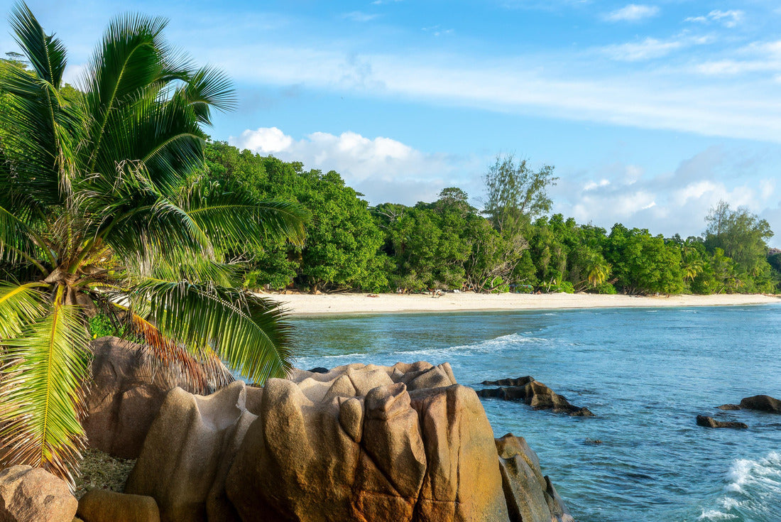 Granite rocks and palm trees on the scenic tropical sandy Anse Severe beach, La Digue island, Seychelles 2000pc Puzzle