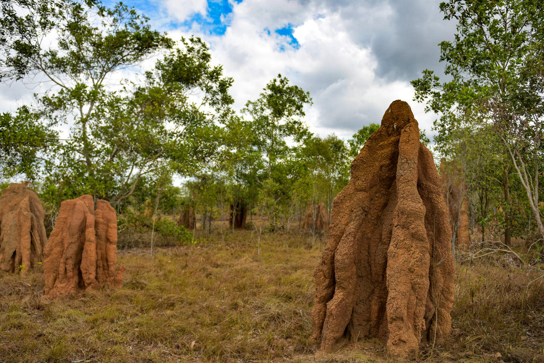 Noah Jigsaw Puzzle Ant House or MUSAMUS, a tourist icon in Merauke, South Papua, Indonesia 2000 pieces