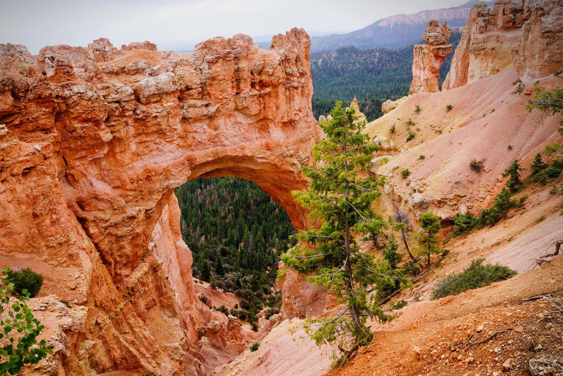 Noah Jigsaw Puzzle Bryce Canyon National Park (UT) 2000 pieces