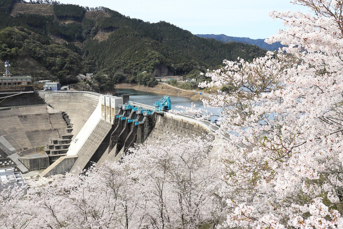 The landscape of Tsuruta Dam in spring 2000pc Puzzle