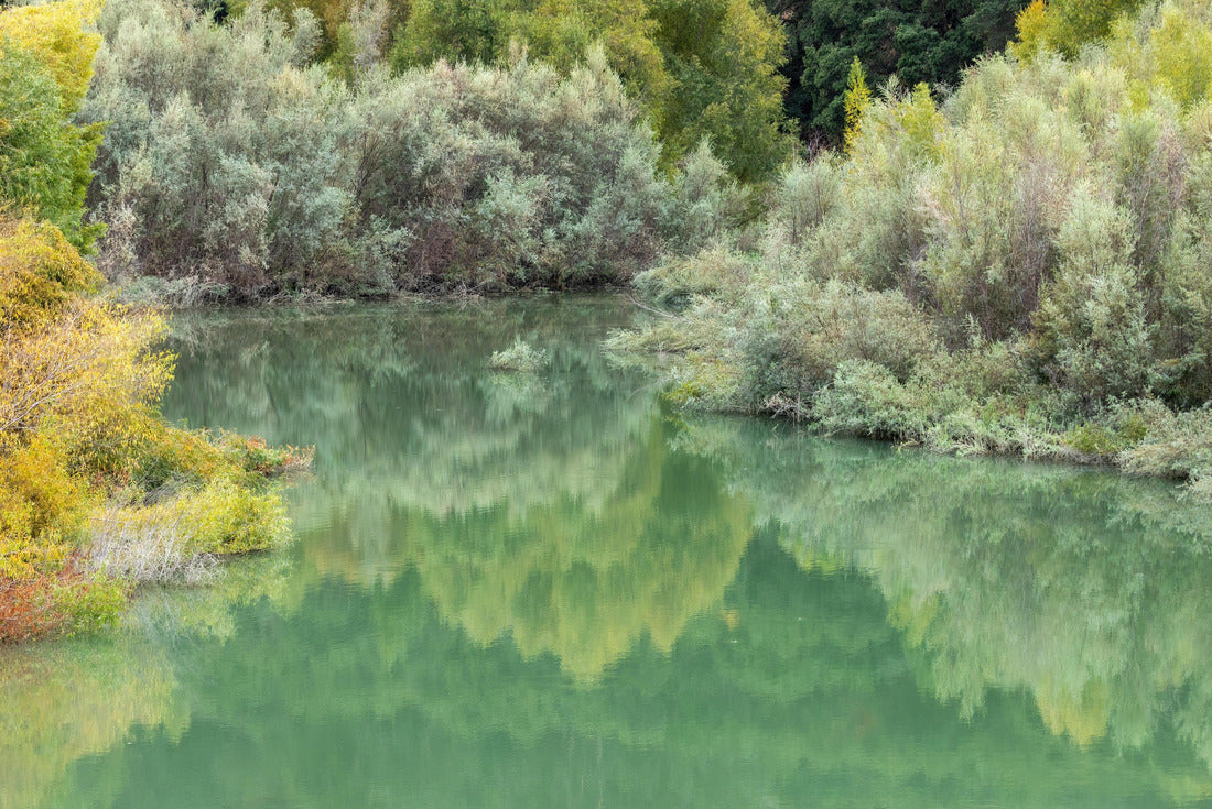 Autumn colors in Stevens Creek Dam. Stevens Creek County Park, Santa Clara County, California 2000pc Puzzle