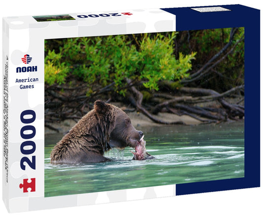 Noah Jigsaw Puzzle A closeup of the Alaskan Brown Bear (Ursus horribilis) in Lake Clark National Park Alaska eating a fish in a lake 2000 pieces