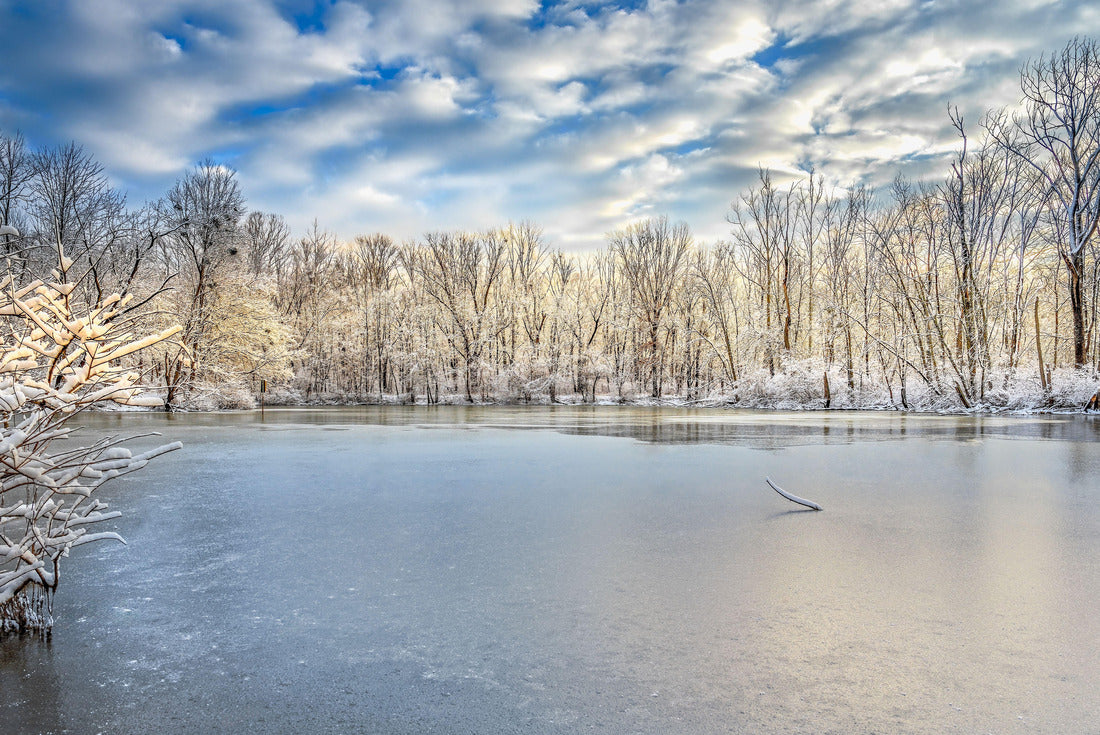 A frozen Caperton Swamp Louisville Kentucky at sunrise 2000pc Puzzle