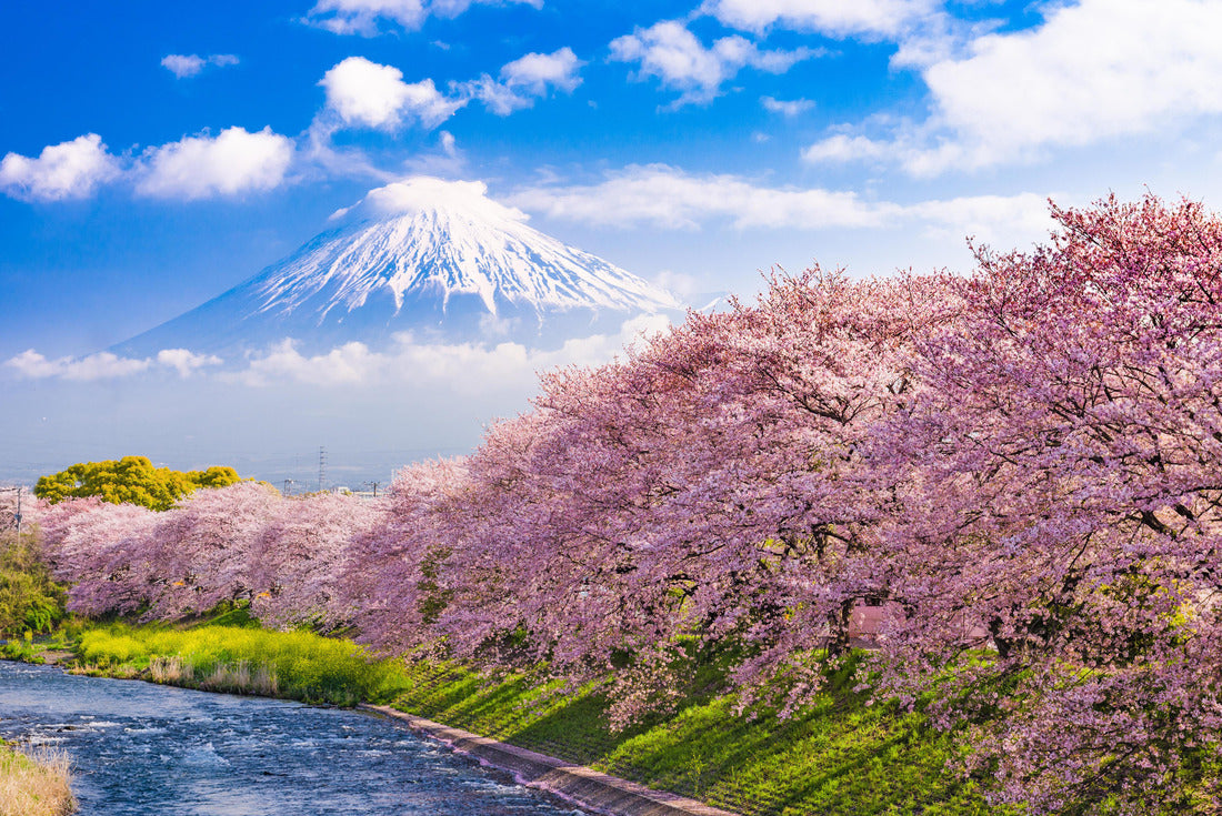 Mt. Fuji, Japan and river in Spring 2000pc Puzzle