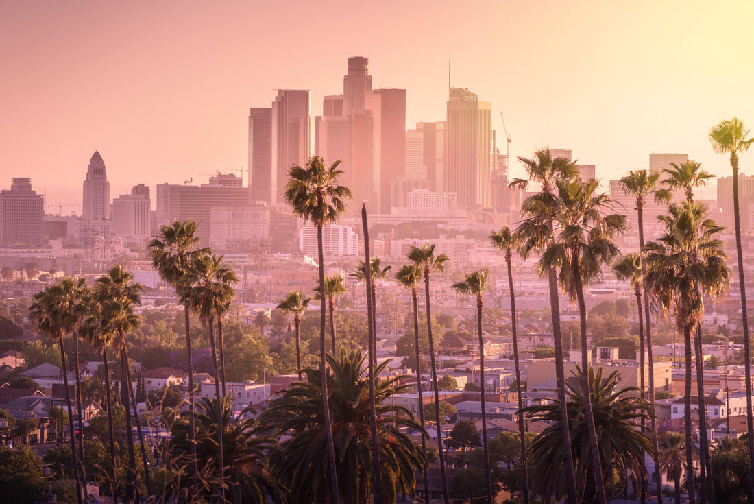 Noah Jigsaw Puzzle Beautiful sunset of Los Angeles skyline in the city center and palm trees in the foreground 2000 pieces