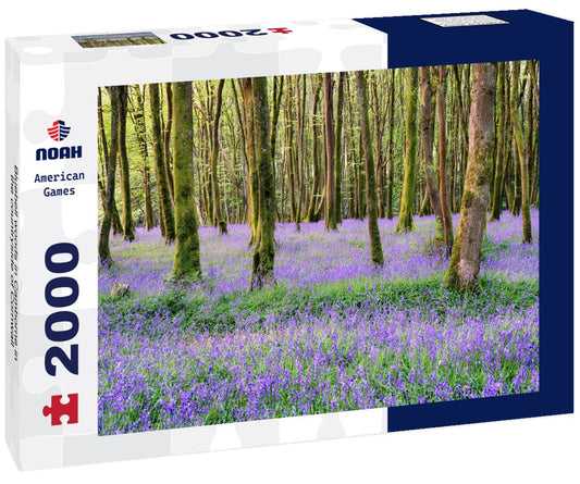 Noah Jigsaw Puzzle Bluebell woods in Camborne in the countryside of Cornwall 2000 pieces